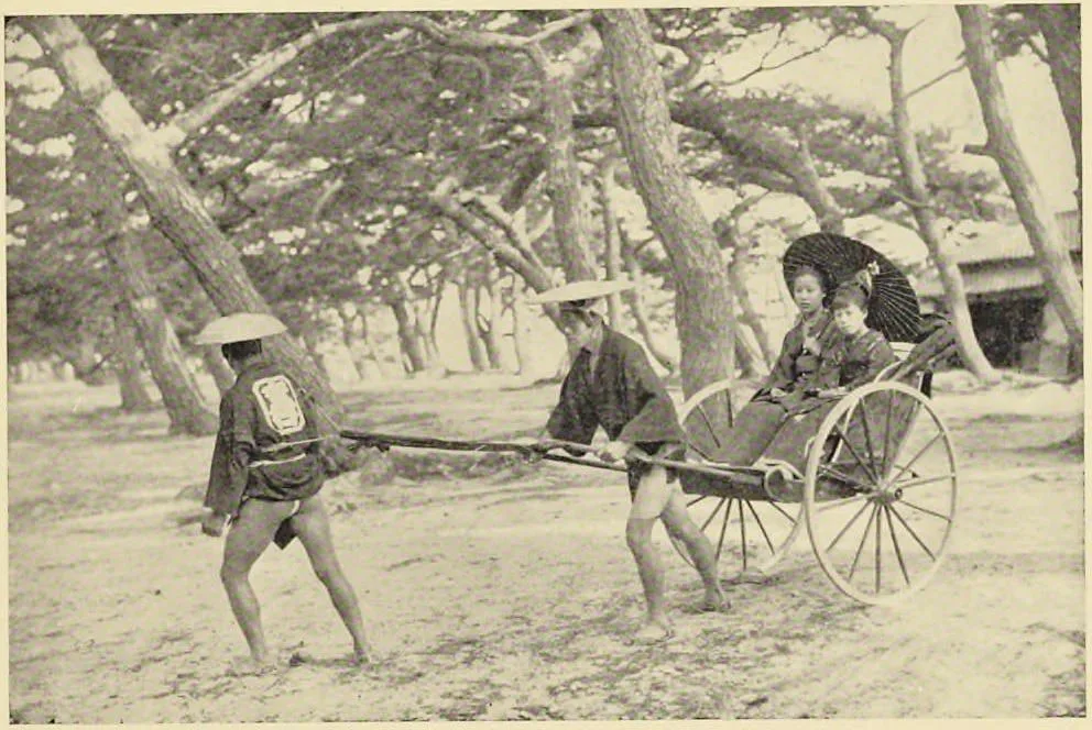 Pine Grove near the Sea-shore (Japan: Described and Illustrated by the Japanese, Section 7, leaf 42)