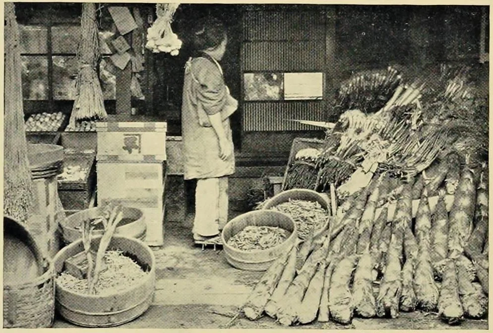Grocery Shop (Japan: Described and Illustrated by the Japanese, Section 4, leaf 61)