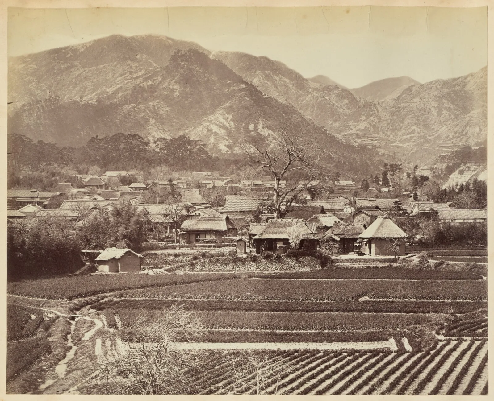 [Japanese Village with Tilled Fields]