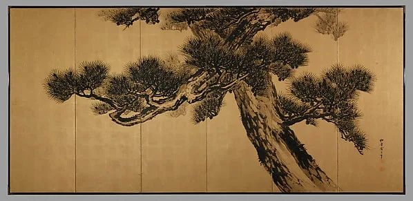 Aged Pines