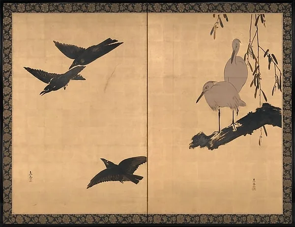 Egrets and Crows