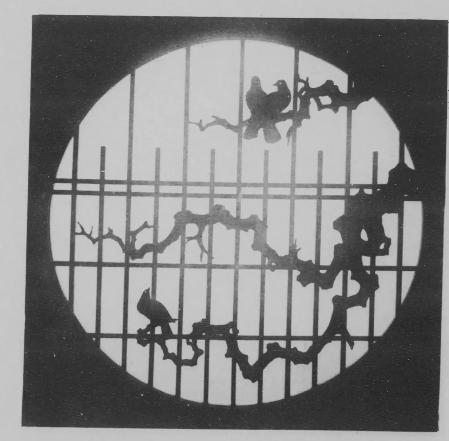 梅の透かしの丸窓（建築写真類聚 窓及勾欄 巻1）